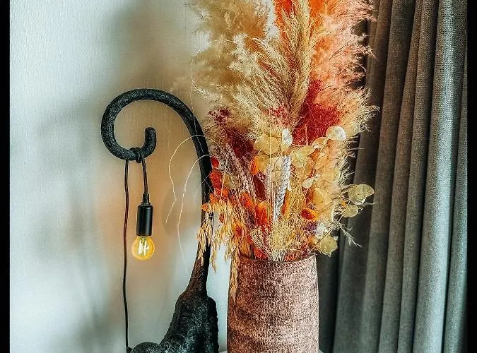 Casa Mare Hartje Met Gratis Parking * 奥斯滕德